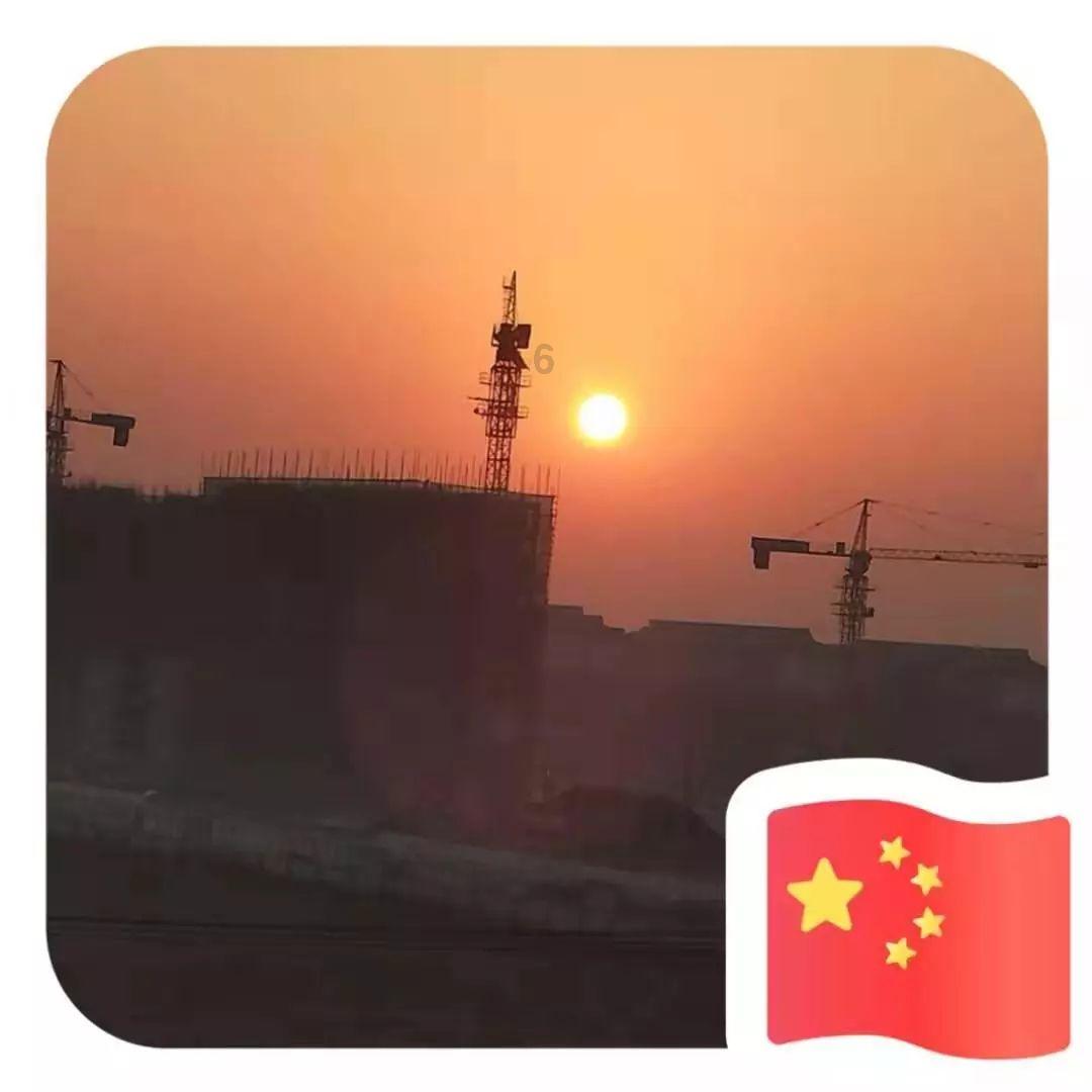 饿狮救援