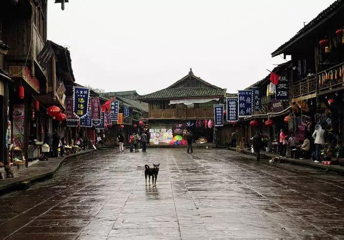 集装箱货运船